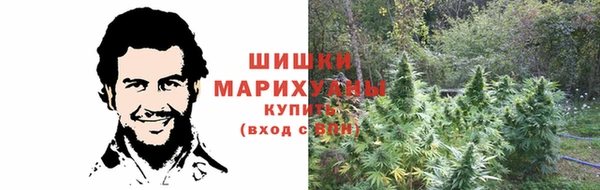 эйфоретик Богородск
