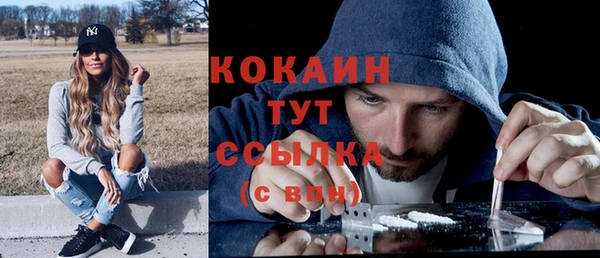 эйфоретик Богородск