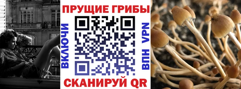 Купить  Балашов  Псилоцибиновые грибы Magic Shrooms 